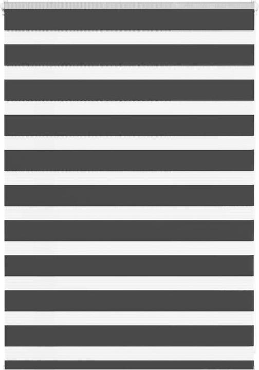 Produktbild vidaXL Zebra-Jalousie (100 x 100 cm)