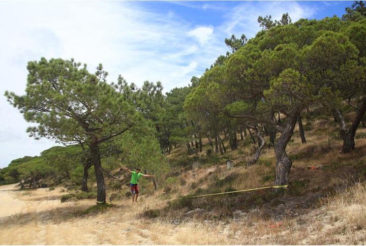 Immagine prodotto Neutral Slackline, Ispirazione HQ - 390250