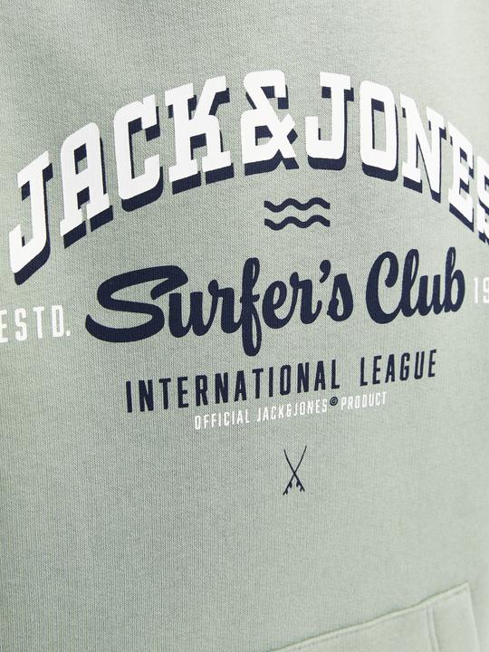 Immagine prodotto Jack & Jones JJELOGO SWEAT HOOD 2 COL 24/25 NOOS JNR (128)