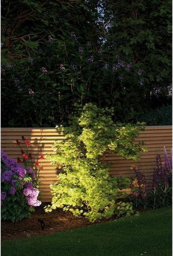 Actual product image Paulmann Plug & Shine Sting Ergänzungsset (520 lm, IP67)