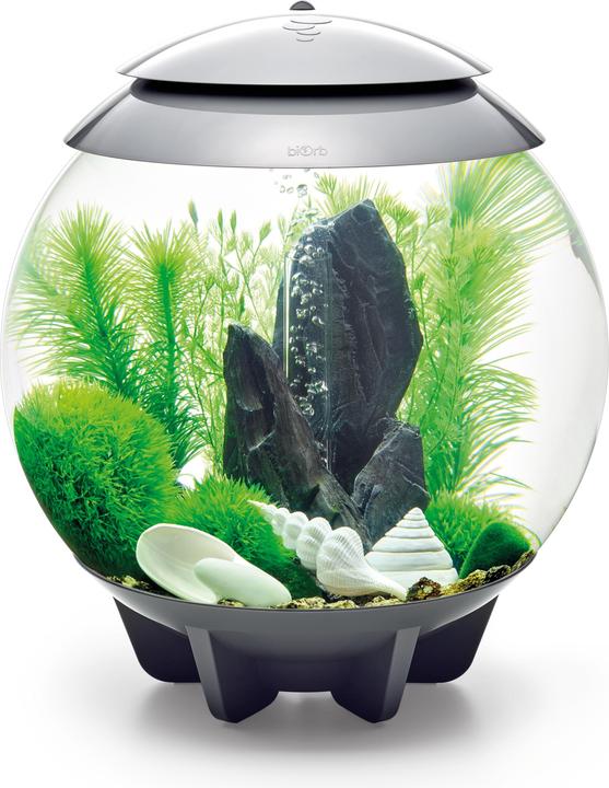 Image du produit Oase biOrb Aquarium 30 Set de décoration (Décoration, autres bâtiments)