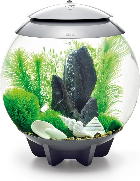 Actual product image Oase biOrb Aquarium 30 Decor Set (Embellishment, other items)