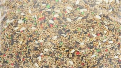 Produktbild dekoVries Grote Parkietenvoer (2.61 kg)