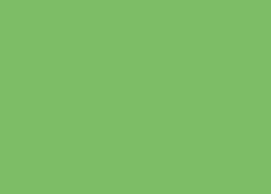 Image du produit Clairefontaine Trophée Colored Copy FSC A4, 120 gm², vert intense (120 g/m², A4)