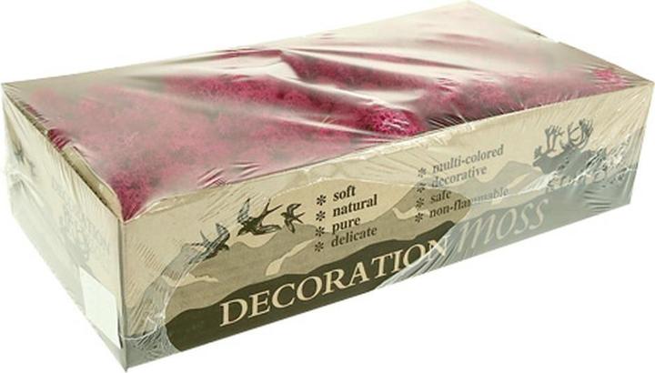 Actual product image Flowerbox Iceland moss