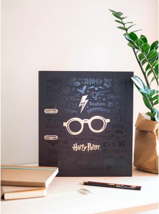 Actual product image Folder Harry Potter glasses 28.5 cm, dark brown (1 x)