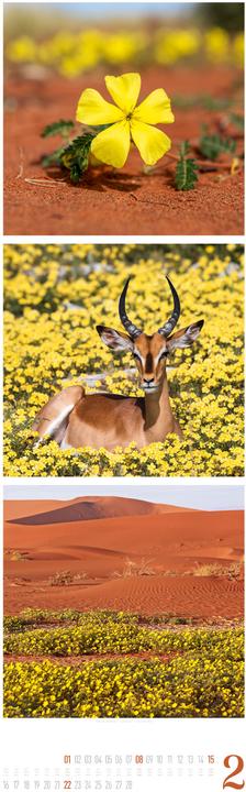 Image du produit Nature Triplet-Kalender 2026 (33 x 100 cm, Couverture rigide, Français, Allemand, Anglais)