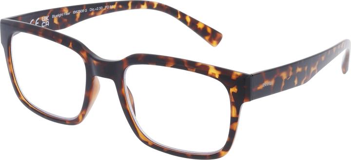 Invu Lunettes de lecture 2.50dpt IB62508G (+2.5)