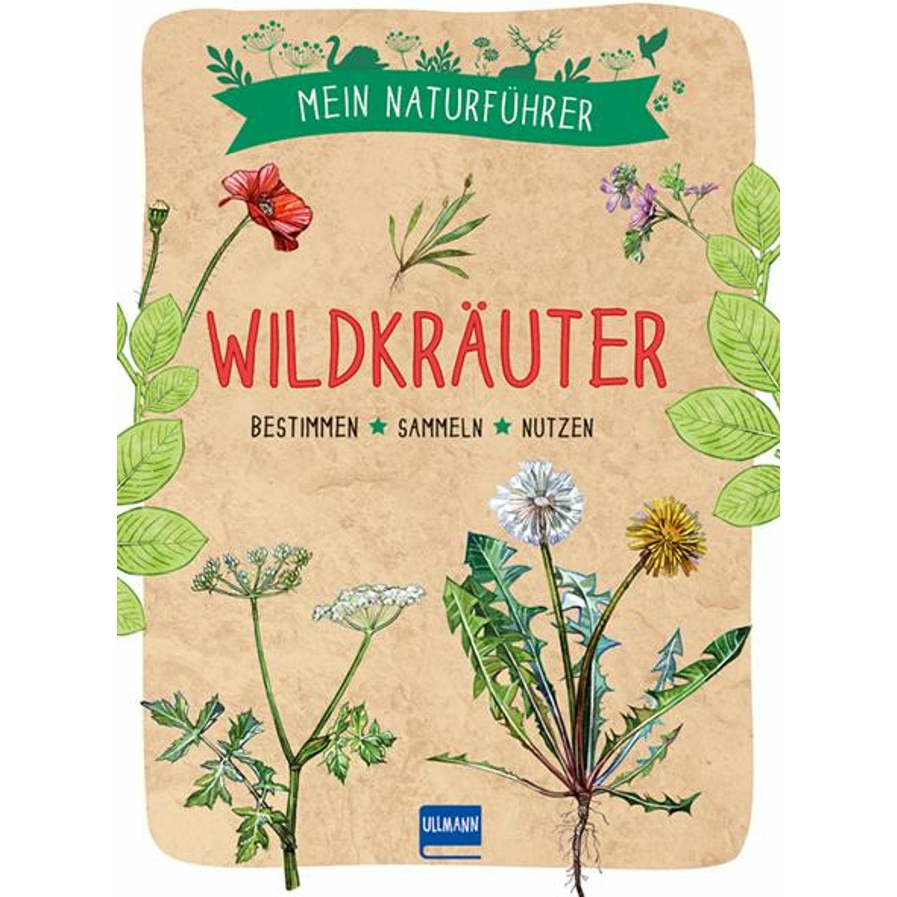 Mein Naturführer - Wildkräuter, Kinderbücher von Francois Couplan