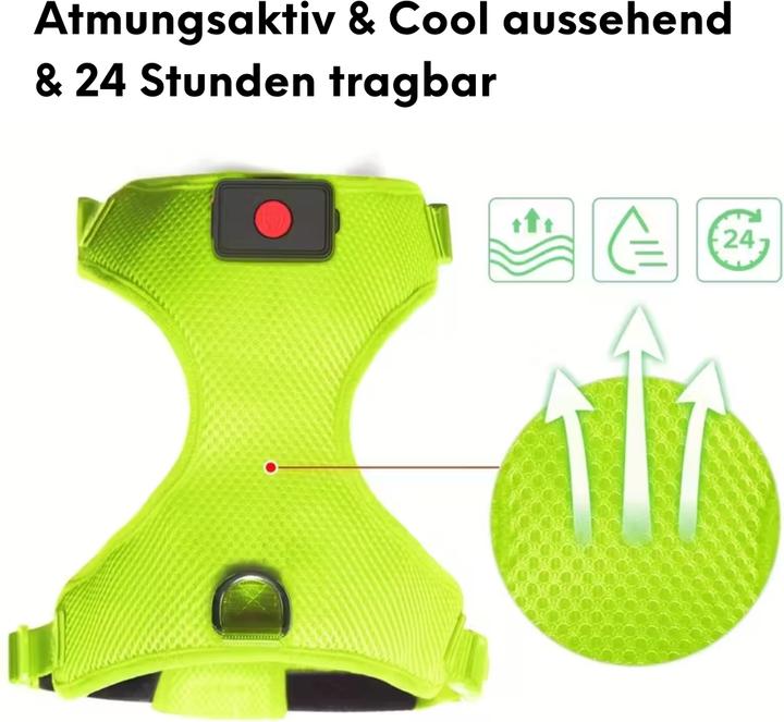 Actual product image Suba LED dog harness (L, Dog, Dog sport, Walks)