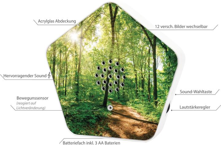 Actual product image Olymp Sounds of Nature Box 4 Klänge, 12 Motive
