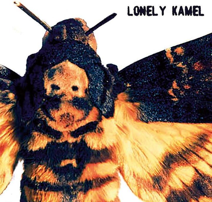 Produktbild Death's-head Hawkmoth (Lonely Kamel)