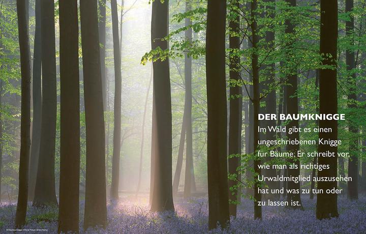 Produktbild Das geheime Leben der Bäume (Deutsch, Peter Wohlleben, 2016)