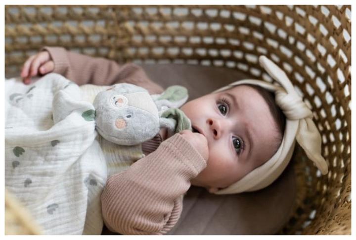 Actual product image Taf Toys Rylee the hare