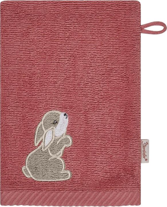 Produktbild Sterntaler Waschlappen Hanni 2er Pack