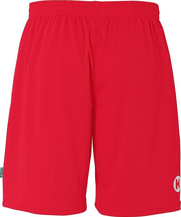 Actual product image Kempa Team Shorts (140)