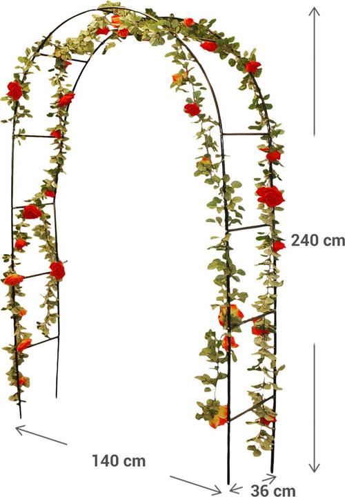 Immagine prodotto ProGarden Leone (36 cm, 140 cm)