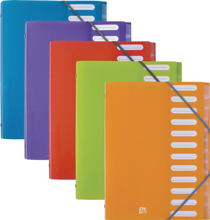 Image du produit Elba Classeur " School Life", 12 compartiments, DIN A4, PP intercalaires transparents, élastiques d'angle (A4, 1x)
