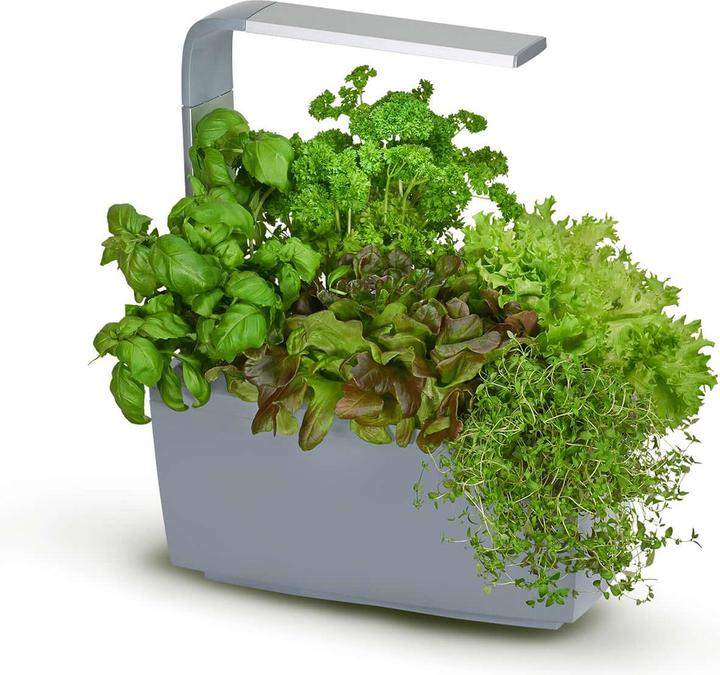 Tregren T6 Kitchen Garden (17.50 cm)