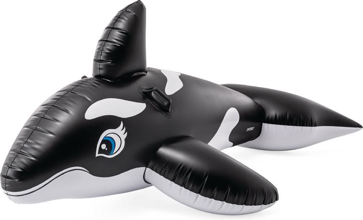Actual product image Intex Whale