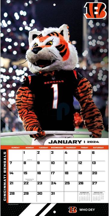 Actual product image NFL - NFL Maskottchen - 30,5 x 30,5 cm Wall Calendar 2024