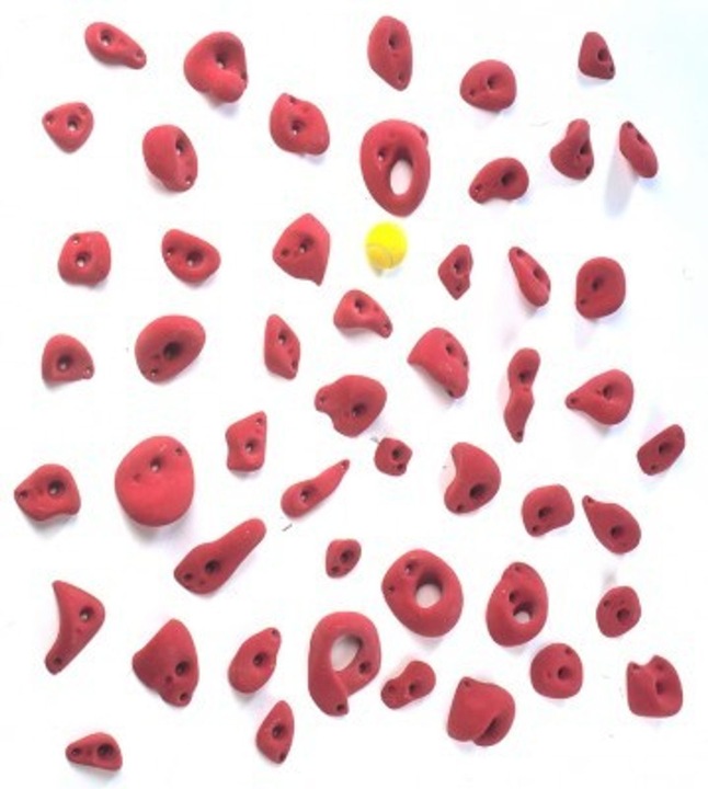 Actual product image Entre Prises Climbing holds Club 3 (New mould)