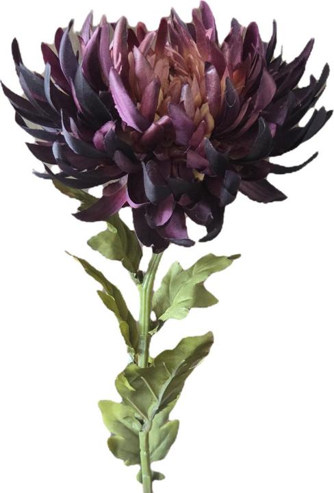 Rosso scuro, Viola intenso