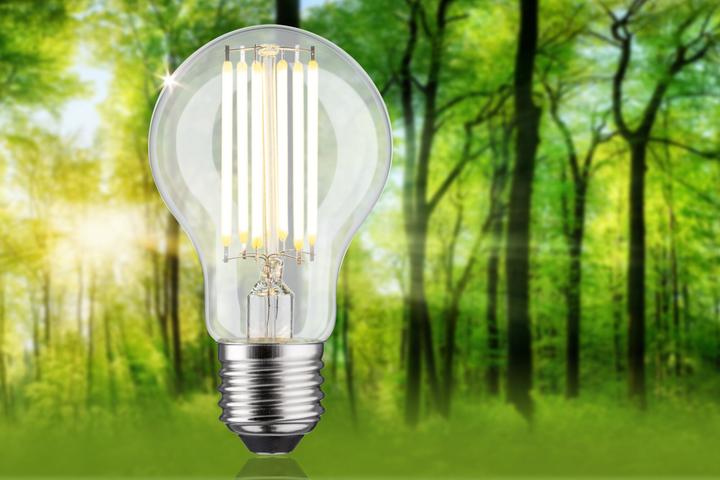 Produktbild Paulmann AGL Eco-Line Filament (E27, 5 W, 1055 lm, 1 x, A)