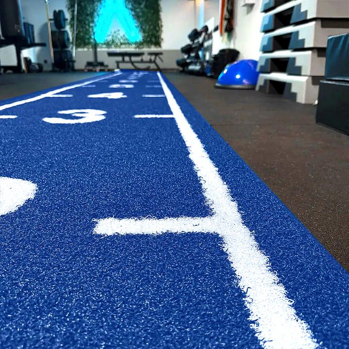 Actual product image Gladiatorfit Laufstrecke "Sled Track" aus abgestuftem Kunstrasen