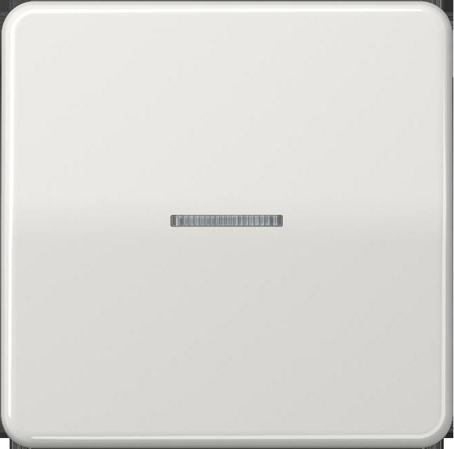 Actual product image JUNG BTCD17101LG HOME Push-button 1gang