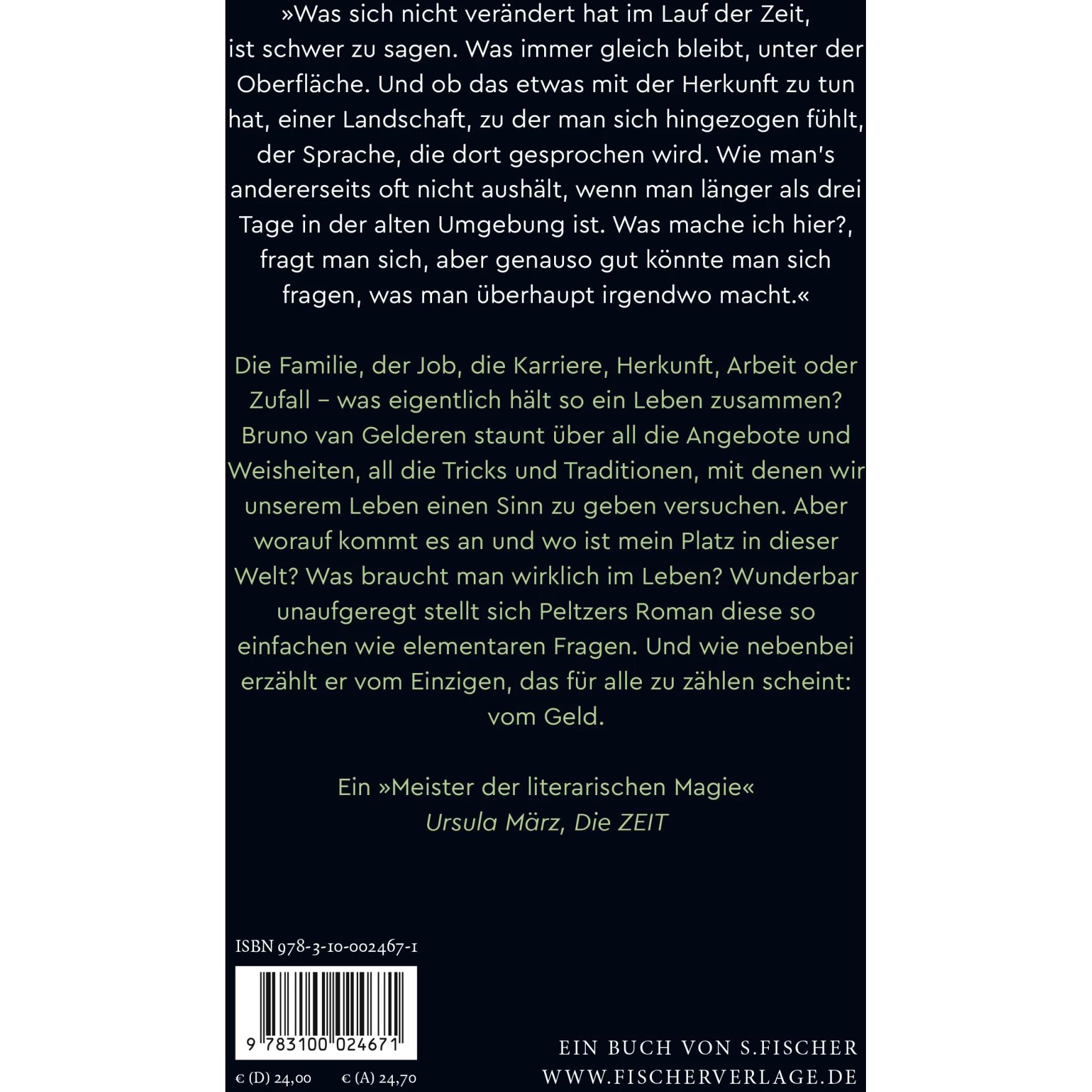 Thumbnail - Der Ernst des Lebens, Belletristik von Ulrich Peltzer