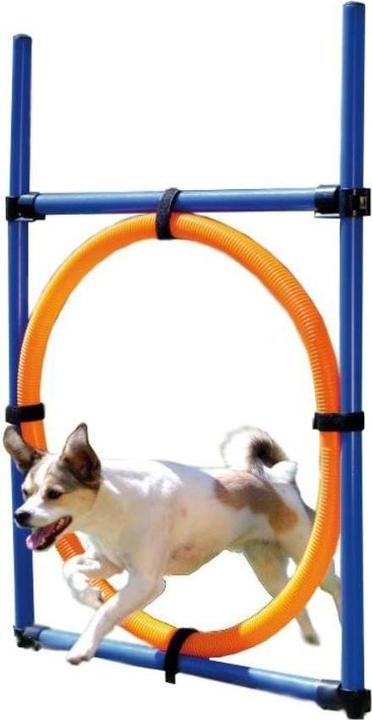 Produktbild Trixie Dog Activity Agility Ring (Agility)