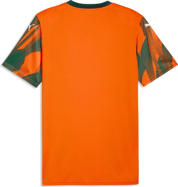 Produktbild Puma teamFINAL Graphic+ Jersey (M)