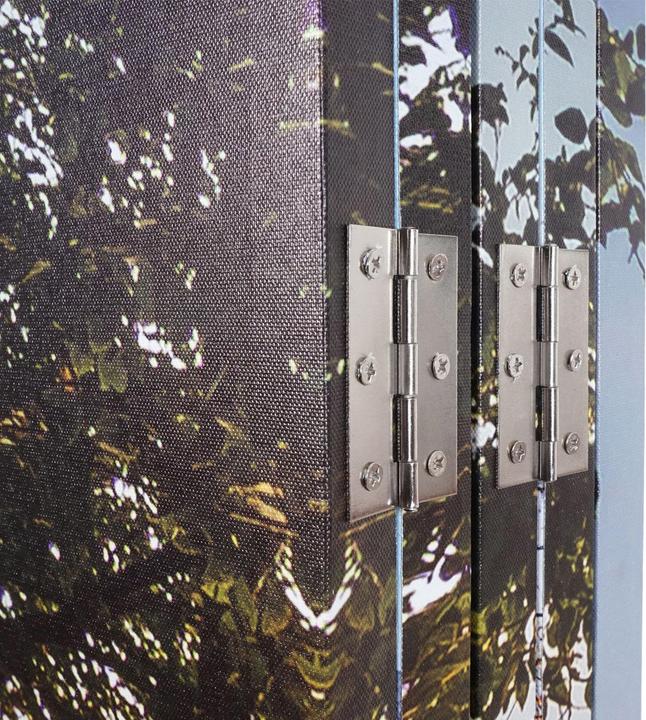 Actual product image Mendler Forest lake