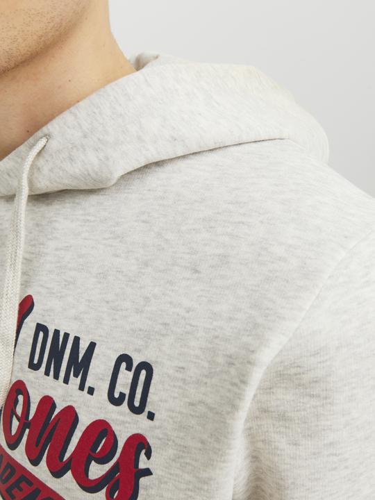 Image du produit Jack & Jones Logo Hoodie (M)