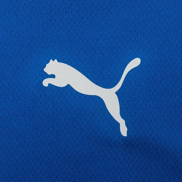 Actual product image Puma teamRISE Jersey Jr-704938 (140)