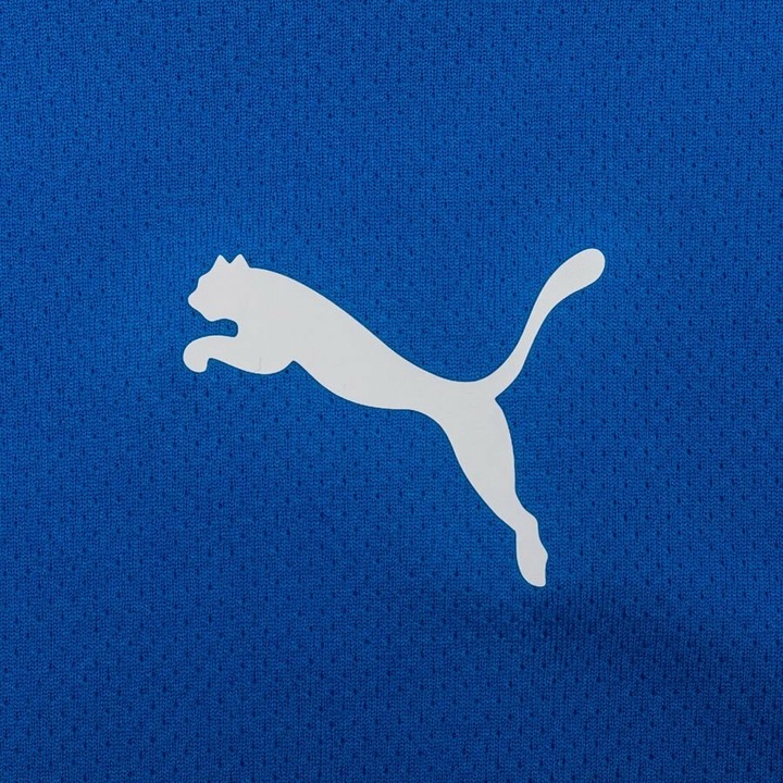 Immagine prodotto Puma Maglia del teamRISE Jr-704938 (152)