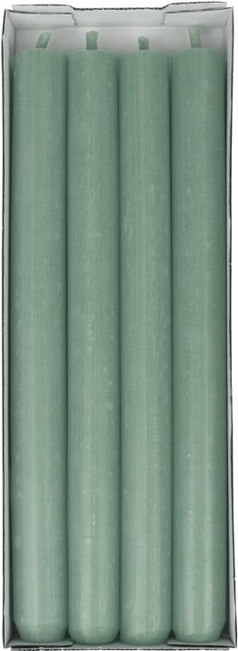 Steinhart Stabkerzen 250x22mm 231717400 salbei 4 Stück (4 Stk.)