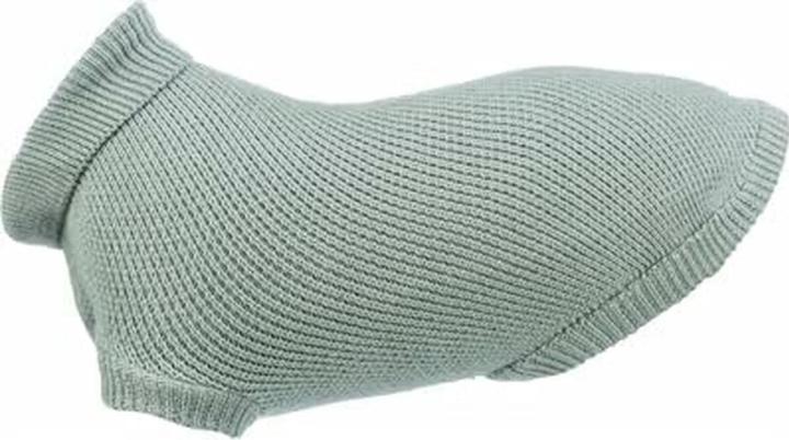 Image du produit Trixie Citystyle Hondentrui Berlin Salie (30, Pull-over pour chien)