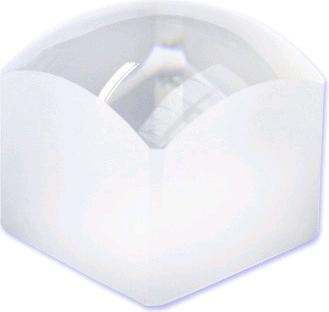 Produktbild Safe Hellfeldlupe Würfel 2,5x