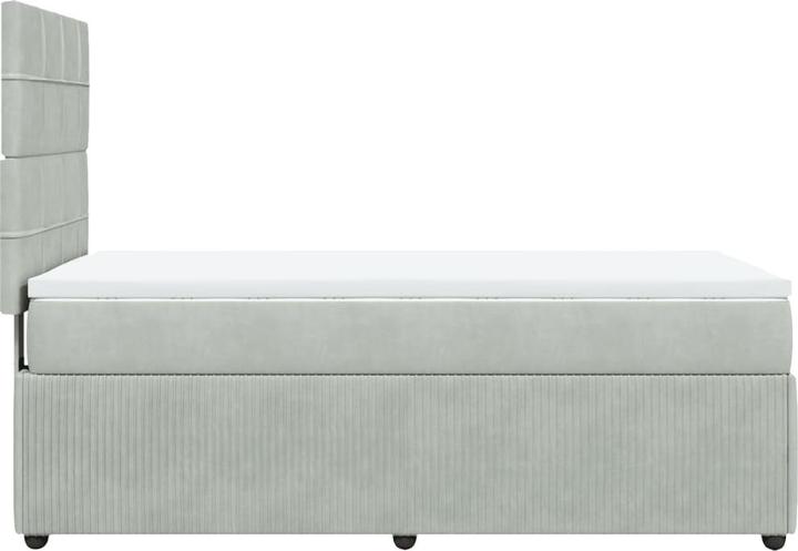 Image du produit vidaXL Boxspringbett (100 x 200 cm)