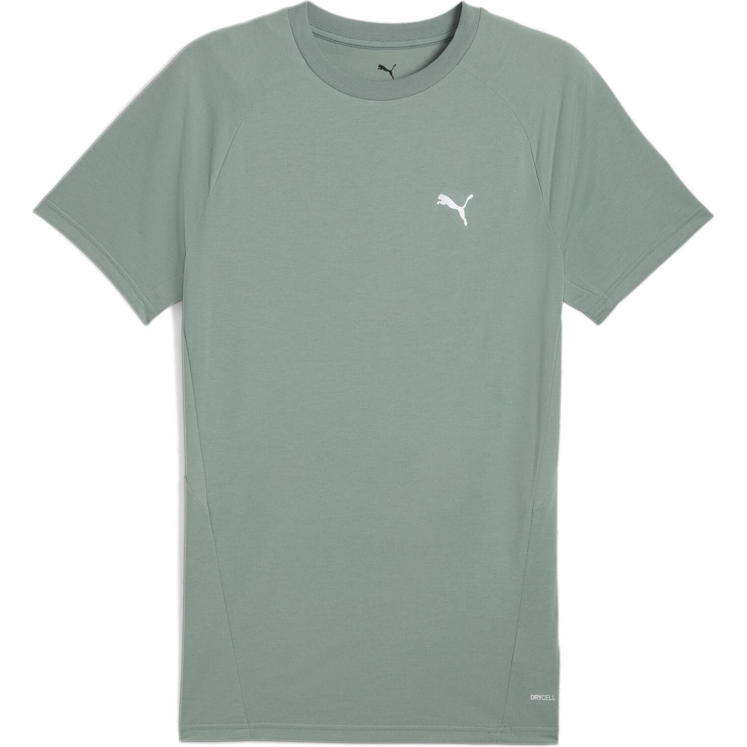 Puma, Herren, Sportshirt, EVOSTRIPE Tee (L), Grün, L