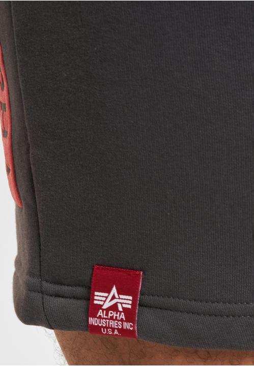 Image du produit Alpha Industries PP Shorts - 145443 (3XL)