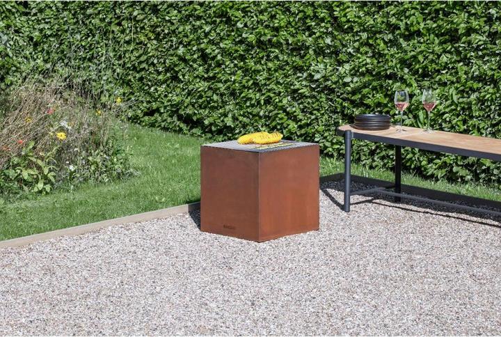 Image du produit Eva Solo Plaque de gril FireCube 46 cm