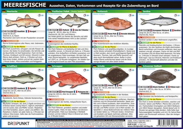 Produktbild Info-Tafel-Set Meeresfische (Deutsch, Michael Schulze, 2013)