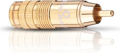 Oehlbach CJG 66 vergoldet