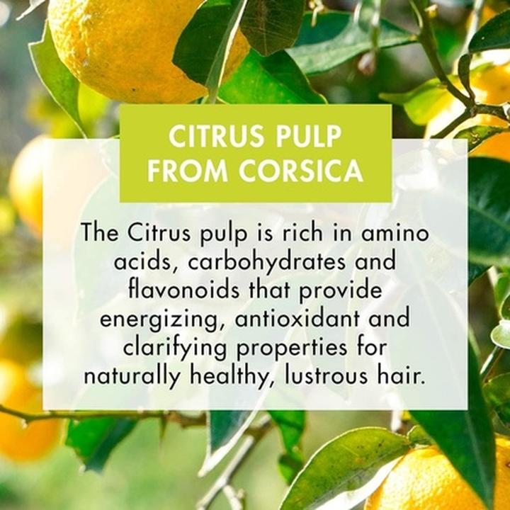 Image du produit Klorane Cedrat (200 ml, Shampoing liquide)