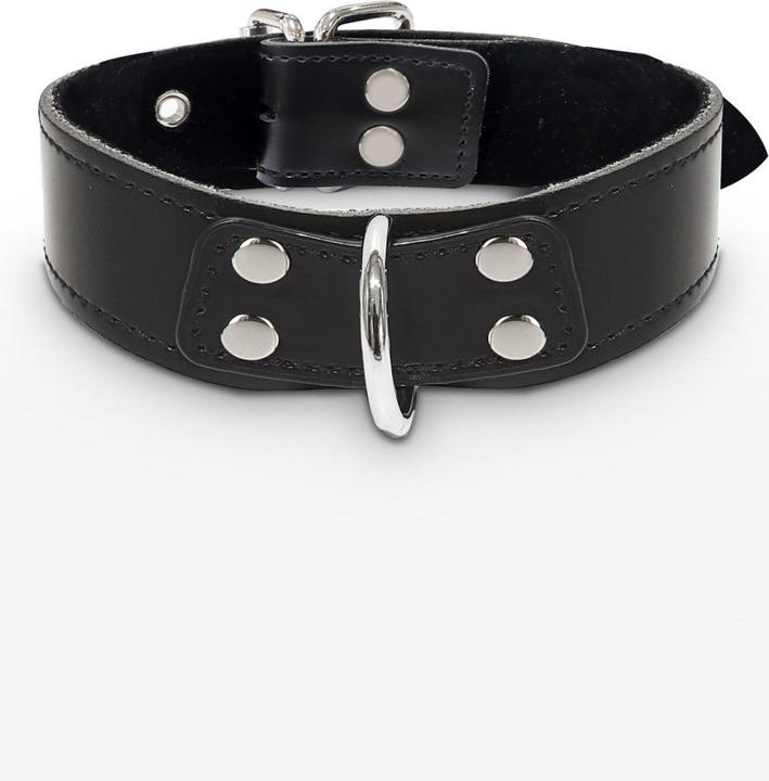 Produktbild Taboom Black Line Vegan D-Ring Collar