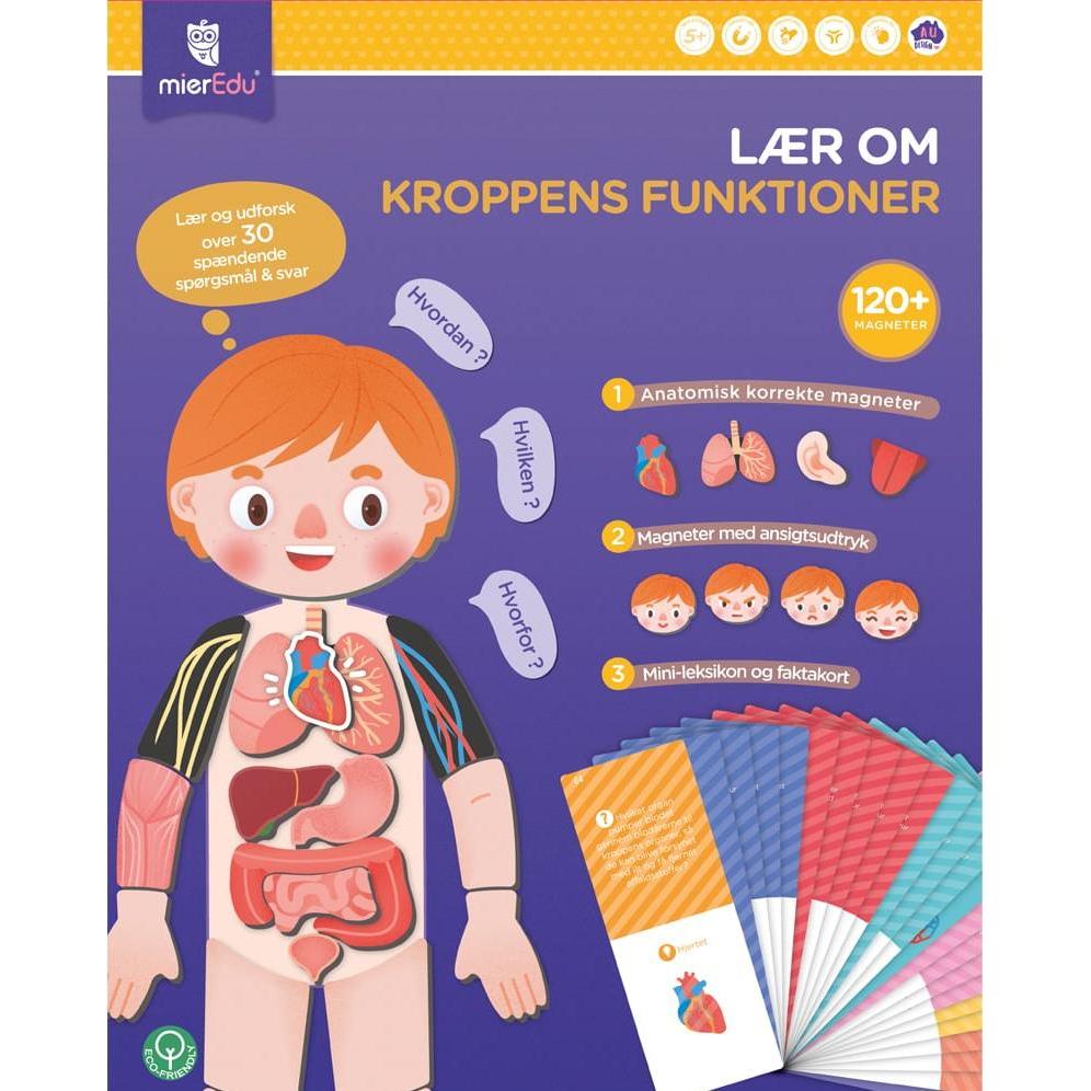 mierEdu Magnetic Learning Box - All About Body and Emotion (Danish) - (ME097D) (Dänisch)