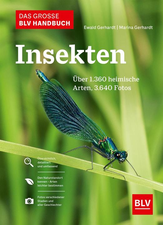Das grosse Handbuch Insekten (Deutsch, Ewald Gerhardt, 2021)